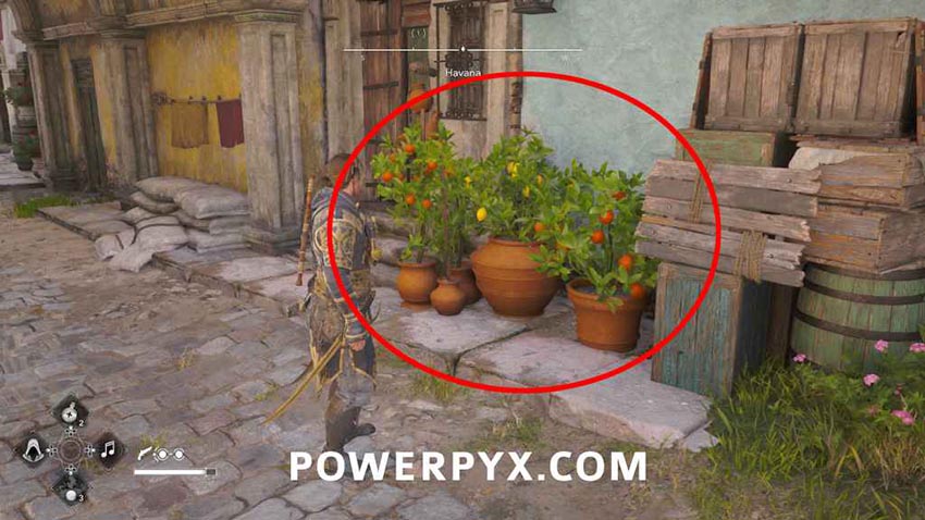 راهنمای تروفی و اچیومنتهای بازی Assassin's Creed Black Flag Resynced