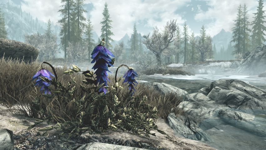 TFC Code Skyrim