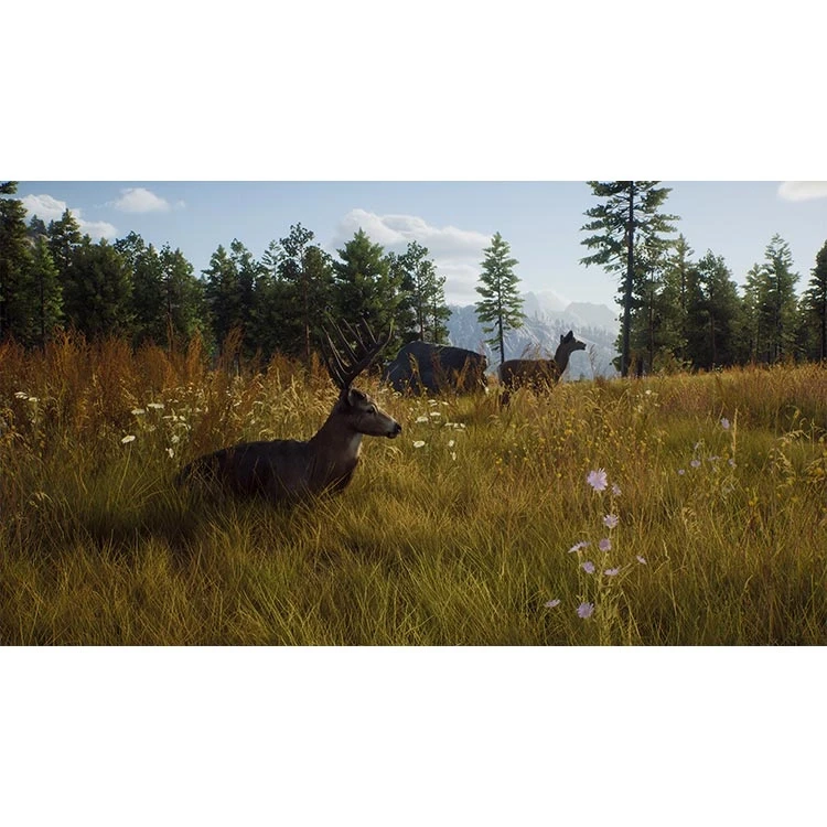 بازی Way Of The Hunter برای PS5
