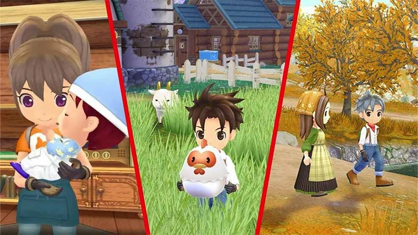 بازی Story of Seasons: A Wonderful Life برای Nintendo Switch