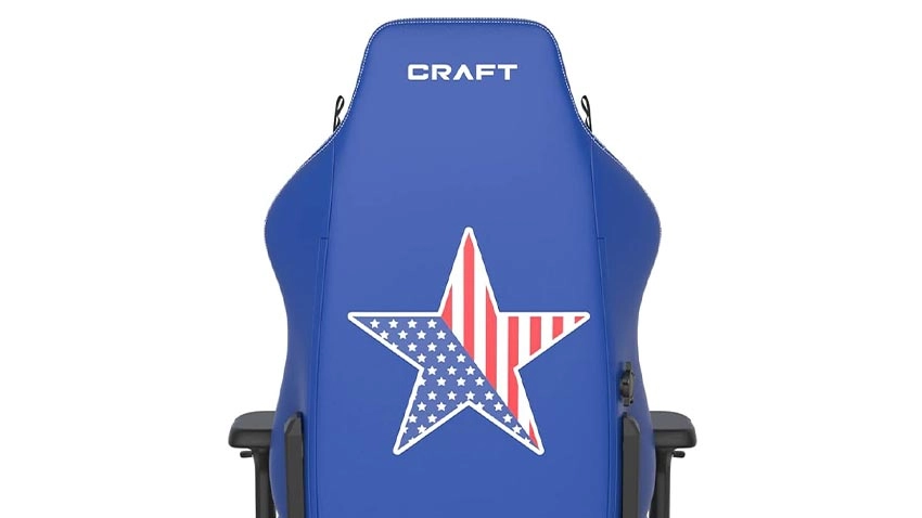 صندلی گیمینگ دی ایکس ریسر DXRacer Craft Pro Dream Team